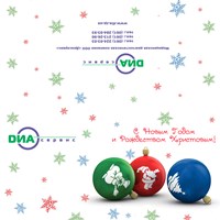 Портфолио Дарья